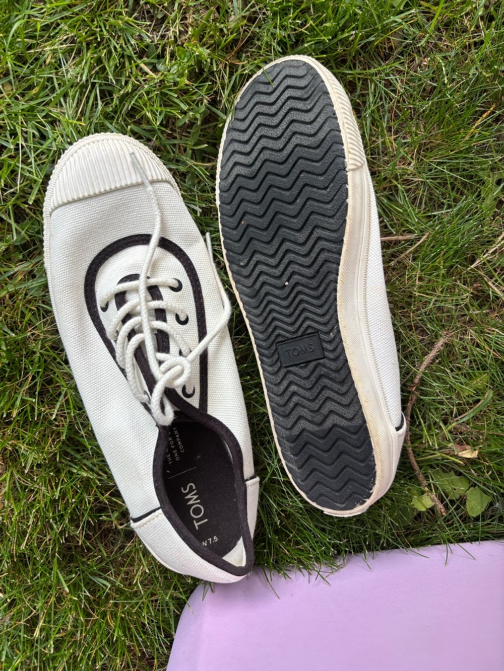TOMS Cream Canvas Sneakers with Black Trim